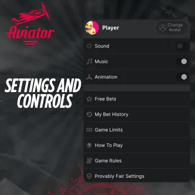 Settings and Controls Aviator game